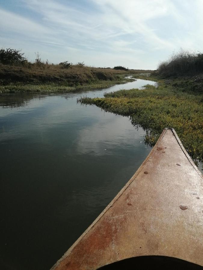 Mobilhome Oleron Simple Et Spacieux A 1Min De L'Ocean La Cotinière Kültér fotó